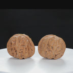 "Yuanbao" Authentic entry level Wenwan Walnuts Pair | Size:40L*44W*34H | UPI:UR-00130