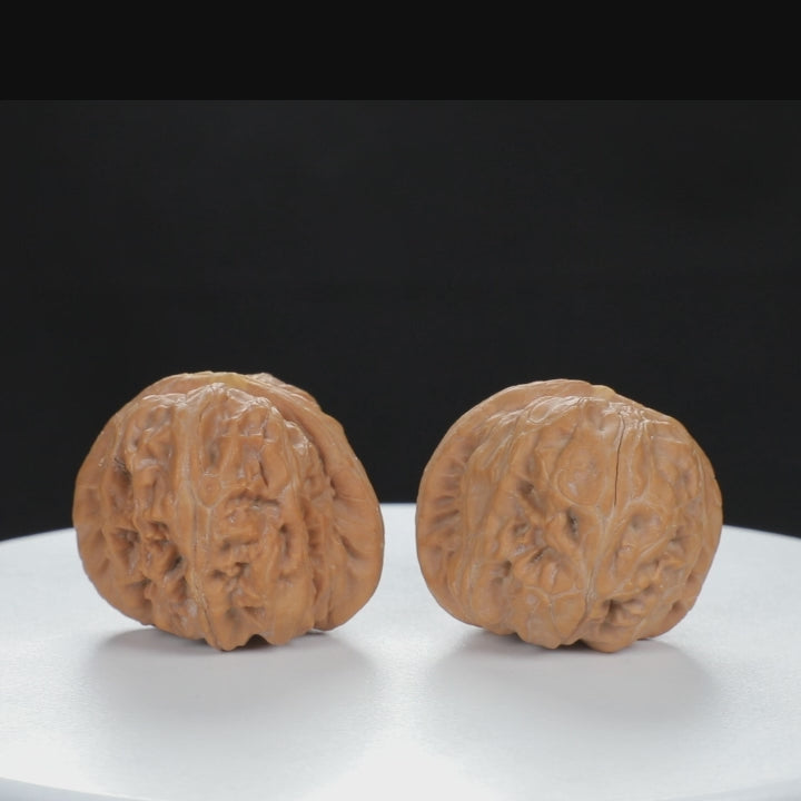 "Yuanbao" Authentic entry level Wenwan Walnuts Pair | Size:40L*44W*34H | UPI:UR-00130