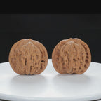 "Si Zuo Lou" Heritage entry level Wenwan Walnuts Pair | Size:41L*39W*38H | UPI:UR-00125