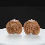 “Snake Head” Collector's Ultra Rare Full-Bellied Snake Head Hand-Matched Wenwan Walnuts Pair | Size:38L*25W*34H | UPI:UR-00092