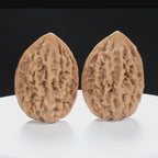 ”Fortune Mouse / Bodhi Seed” Fortune Rat (Nine-Story Pagoda Origin) Tall-Stature Wenwan Walnuts Pair | Size:38L*41W*53H | UPI:UR-00041