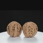 "Si Zuo Lou" Essential entry level Wenwan Walnuts Pair | Size:42L*46W*41H | UPI:UR-00025