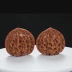 “Qilin Scale Pattern” Imperial Collection Qilin Guanmao Walnuts Pair | Size:47L*45W*43H | UPI:UR-00053