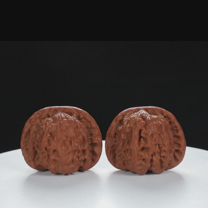 "White Lion's Head" Distinctive entry level Wenwan Walnuts Pair | Size:44L*41W*35H | UPI:UR-00029