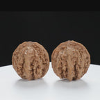 “Wild Qinling Thick-Ridge” Wild Qinling Mountain Thick-Ridge Native Wenwan Walnuts Pair | Size:37L*40W*36H | UPI:UR-00094