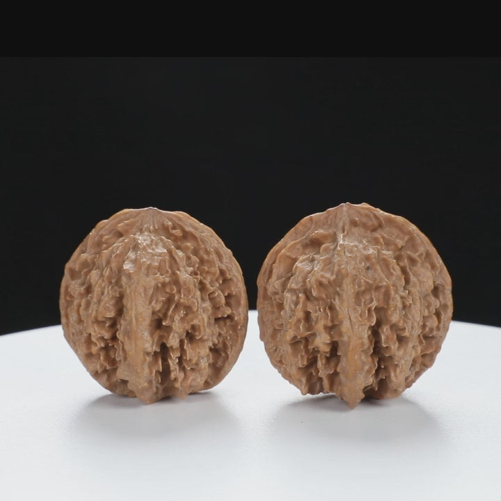 “Wild Qinling Thick-Ridge” Wild Qinling Mountain Thick-Ridge Native Wenwan Walnuts Pair | Size:37L*40W*36H | UPI:UR-00094
