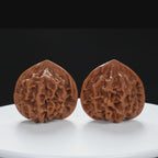 “Qilin Scale Pattern” Imperial Collection Qilin Guanmao Walnuts Pair | Size:45L*45W*43H | UPI:UR-00055