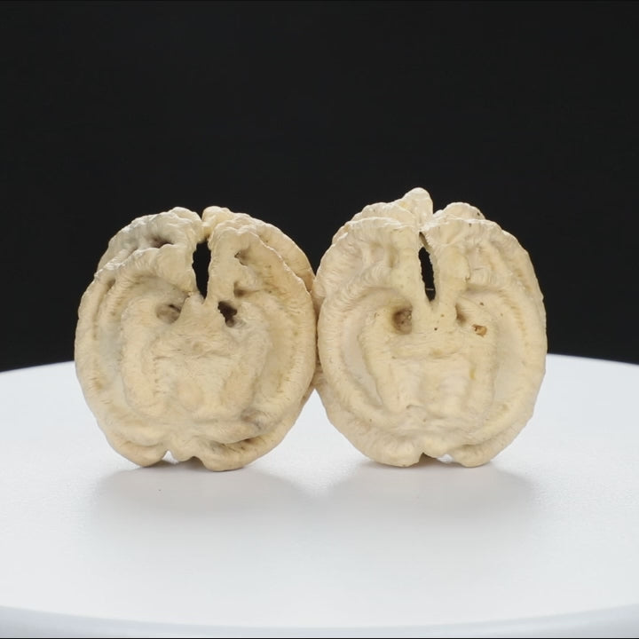 "Ghost Face" "Tiny Sweetheart Pair" Natural Indonesian Grimace Walnut Couple Set | Size:35L*33W*39H | UPI:UR-00103