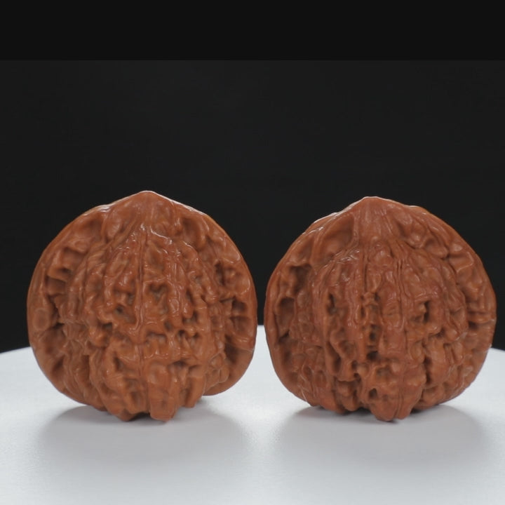 "Large Mandarin Hat" Handpicked entry level Wenwan Walnuts Pair | Size:48L*44W*46H | UPI:UR-00016