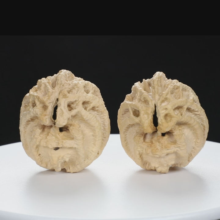 “Ghost Face” Natural Smiley Grimace Indonesian Walnuts Pair | Size:44L*45W*48H | UPI:UR-00099