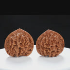 “Qilin Scale Pattern” Imperial Collection Qilin Guanmao Walnuts Pair 48L*47W*44H | UPI:UR-00052